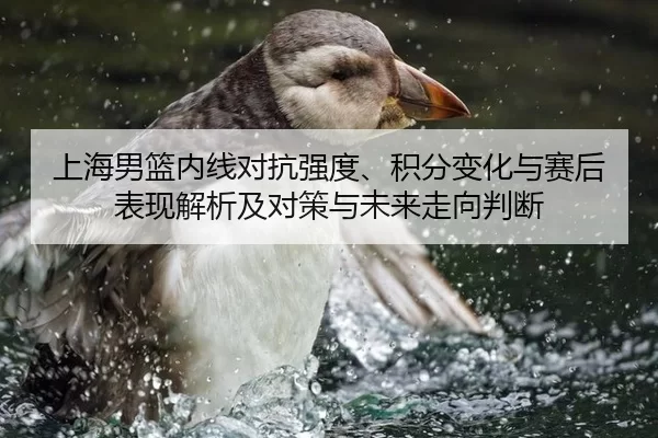 上海男篮内线对抗强度、积分变化与赛后表现解析及对策与未来走向判断